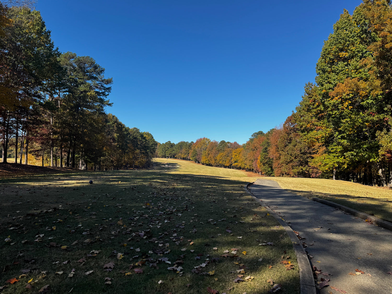 The Pursuit of Perfection: Lessons from the Course and Building Green Ferret Golf