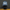 Blue cap with 'Ferret' logo on a black mannequin head against a dark background