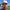 Man wearing a white cap with a trademarked Ferret Golf logo on a golf course