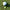 Finneus Ferret "Hear No Bad Shots" ball marker next to a Titliest golf ball