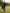 Man walking on a golf course with a Black pro shop polo from green ferret golf carrying his golf bag