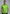 Man wearing a bright green polo shirt with a logo in an indoor setting with large windows.