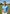 Man wearing a light blue polo shirt with a logo on a golf course